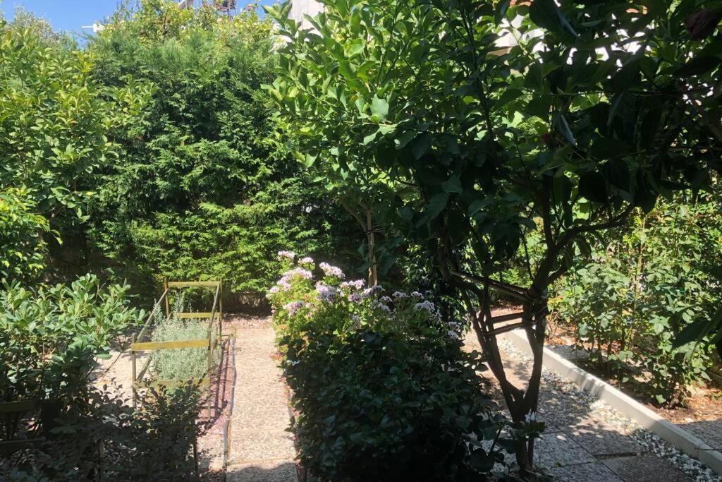 Ανακαινισμενη Μονοκατοικια 125 Τμ Στο Κεντρο Με Κηπο Villa Missolonghi Bagian luar foto